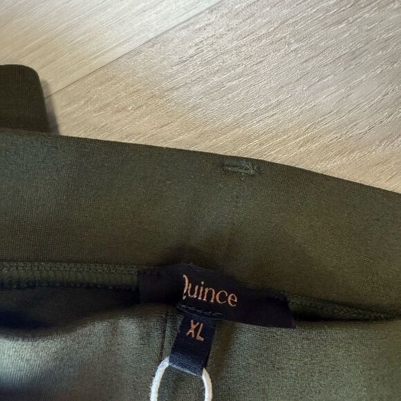 Quince Ultra-Stretch Ponte Straight Leg 4-Pocket Pants size XL green nwt - Picture 9 of 9